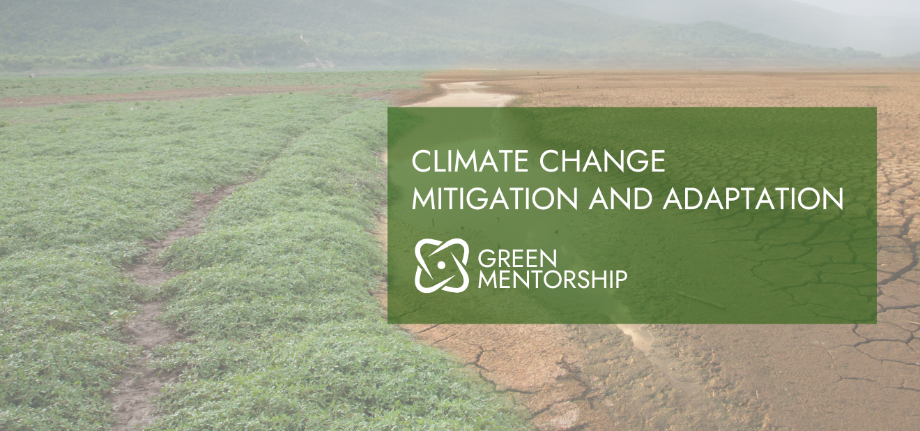 Climate Change Mitigation and Adaptation